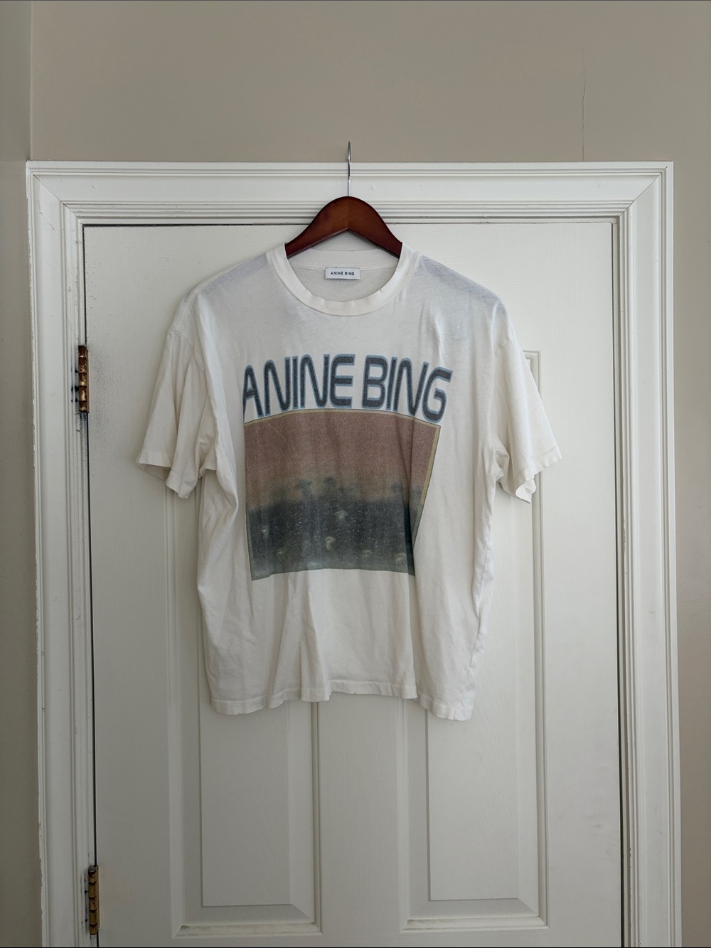 Anine Bing Cade Mushroom Graphic Tee size small - Picture 2 of 4